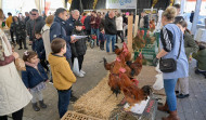 El ‘canto’ de Carballo se impone en el jolgorio de la Feira  do Galo de Arteixo