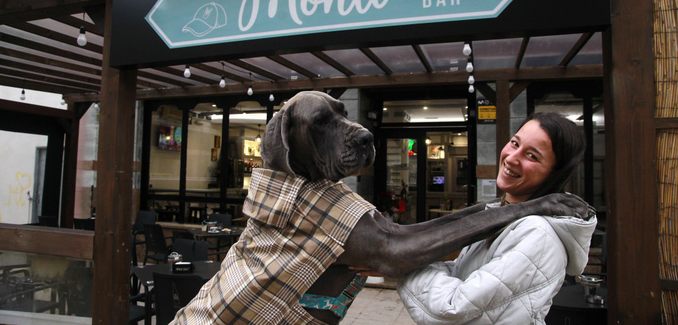 Reportaje | Los perros se van de tapas a O Burgo