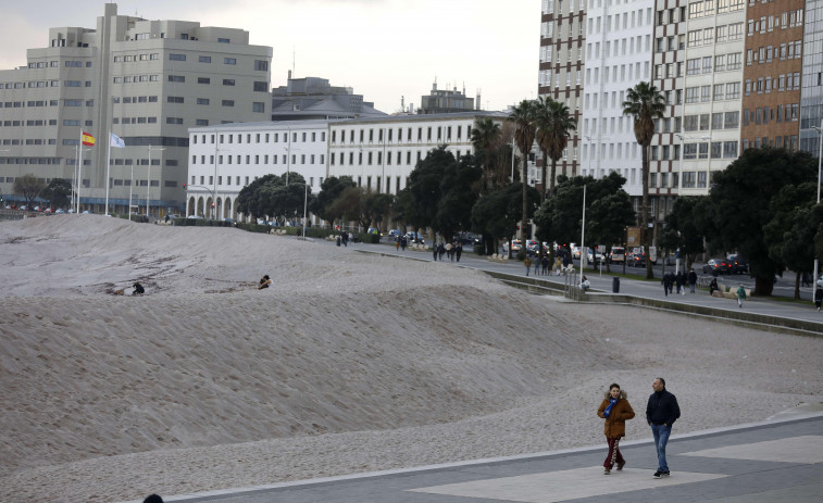 La duna de Riazor cumple 25 años protegiendo el Paseo de las mareas