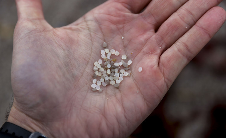 Los pellets de plástico: qué son y sus peligros para el medio ambiente