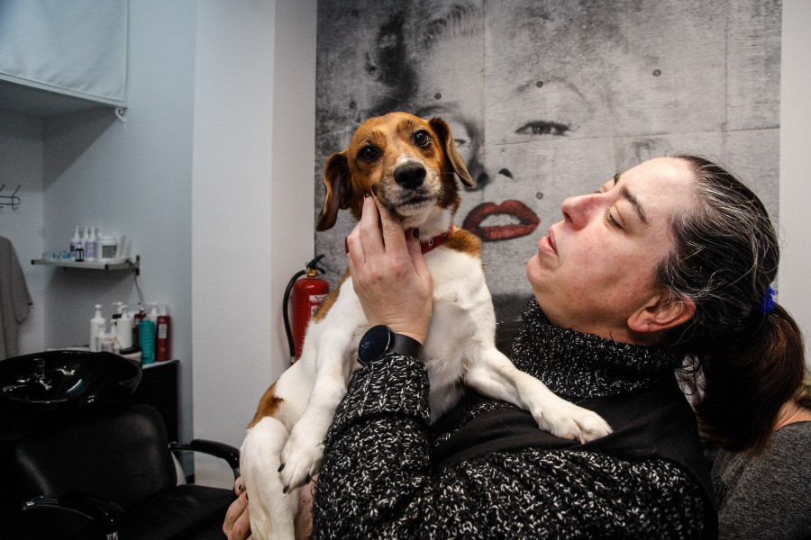 Reportaje | La dueña de la mascota que espantó a un ladrón en A Coruña: “¿Ves cómo vale la pena tener un perro?”