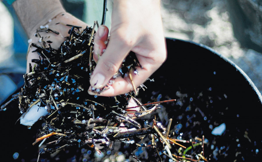 La cantidad de plásticos recogida en las playas duplica a la de pellets