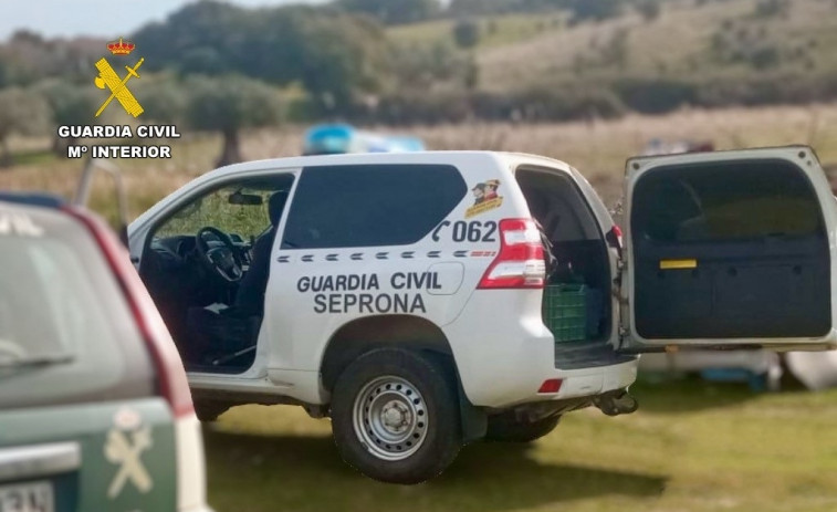 Investigado el responsable de una finca que tenía 70 vacas muertas en distintas fases de descomposición