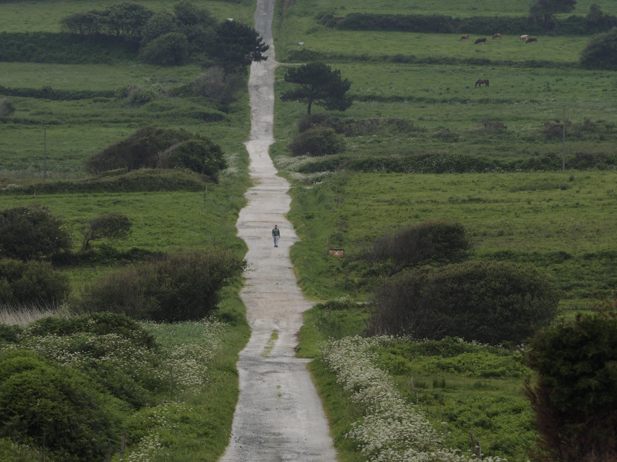 Abierto el plazo para alquilar parcelas mediante el banco de tierras de Galicia