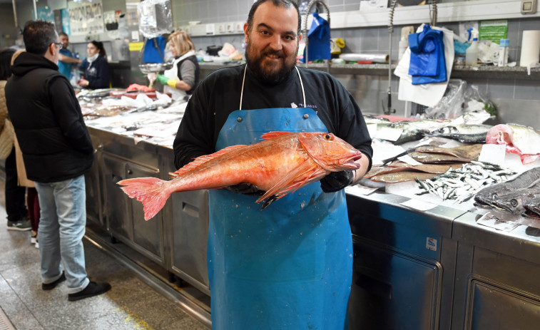 Una alfóndiga de 5,3 kilos se convierte en la reina de la plaza de Lugo por un día