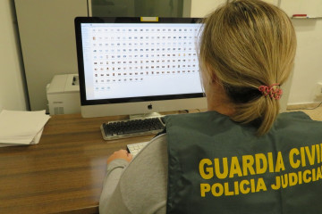 Agente de la Guardia Civil, frente a un ordenador @ EP