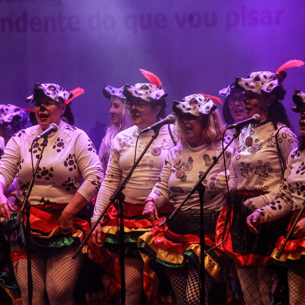 Seis comparsas se disputan los primeros premios del Carnaval de A Coruña