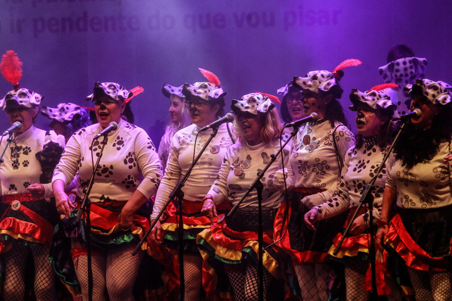 Seis comparsas se disputan los primeros premios del Carnaval de A Coruña