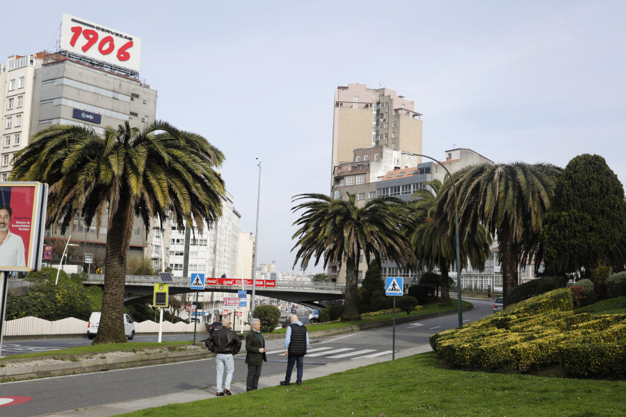 El picudo rojo se extiende también por las palmeras que adornan Alfonso Molina