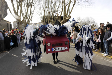 Las celebraciones de Entroido y Carnaval, en su fin de fiesta definitivo (3)