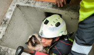 Los Bomberos de A Coruña rescatan a un gato que cayó de un séptimo piso