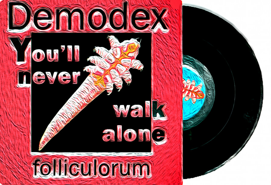 Los Demodex presentan… You’ll never walk alone!