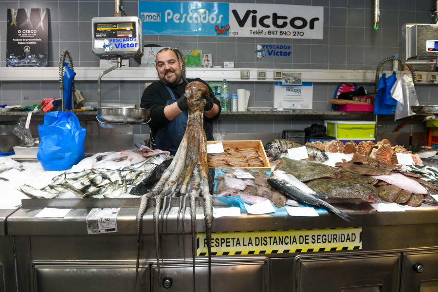 La plaza de Lugo de A Coruña corona al peso pesado de los cefalópodos