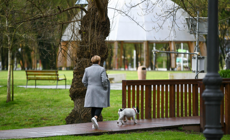 Arteixo quiere crear su primer parque canino en O Seixedo