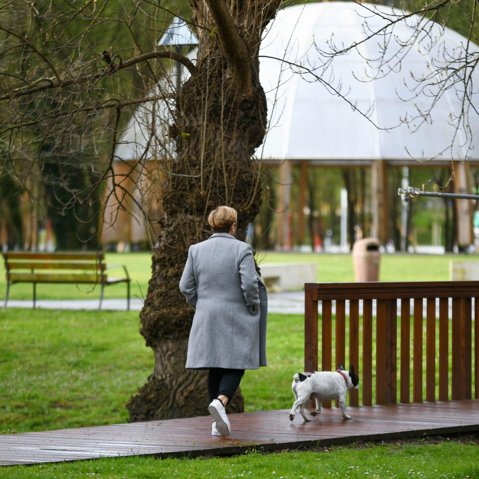 Arteixo quiere crear su primer parque canino en O Seixedo