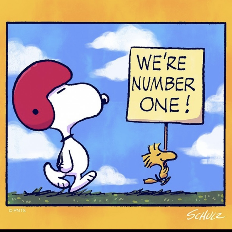 Snoopy  (11)