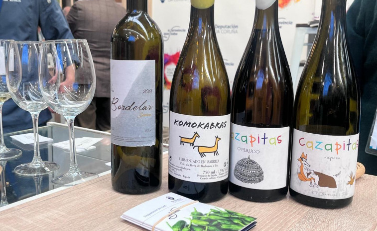 Choiva Viños: un viaje por la diversidad del vino gallego