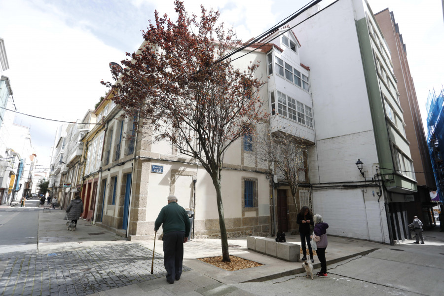 Los "salvajes" se cuelgan de los árboles del Orzán en A Coruña