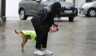 La mancha de A Coruña: se multó solo 16 veces en un año a dueños de perros por no recoger las heces