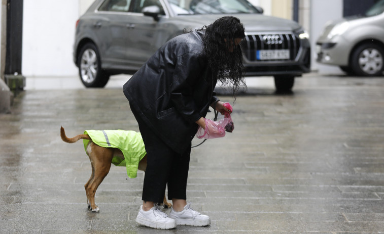 La mancha de A Coruña: se multó solo 16 veces en un año a dueños de perros por no recoger las heces