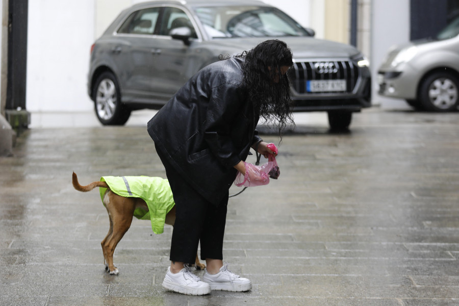 La mancha de A Coruña: se multó solo 16 veces en un año a dueños de perros por no recoger las heces