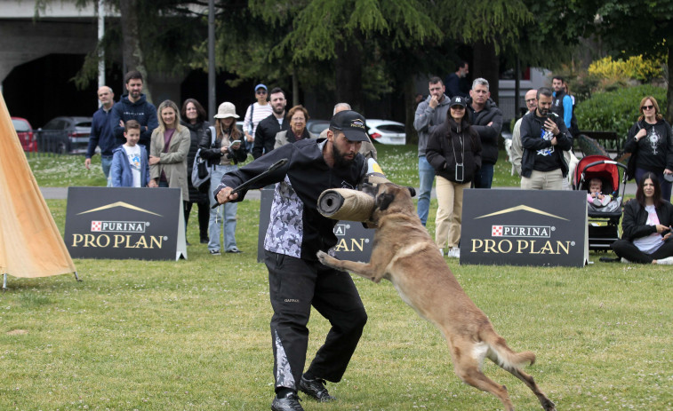 Saltos, mordiscos y olfateos en el cierre de las I Jornadas Urbandog del parque Europa