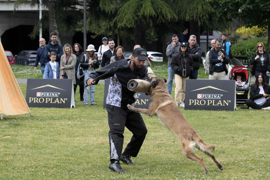 Saltos, mordiscos y olfateos en el cierre de las I Jornadas Urbandog del parque Europa