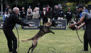 Jornadas UrbanDog en el Parque Europa