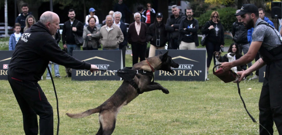 Jornadas UrbanDog en el Parque Europa