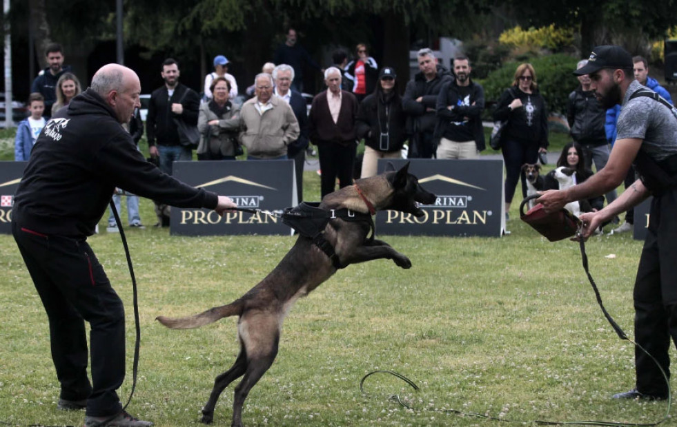 Jornadas UrbanDog en el Parque Europa