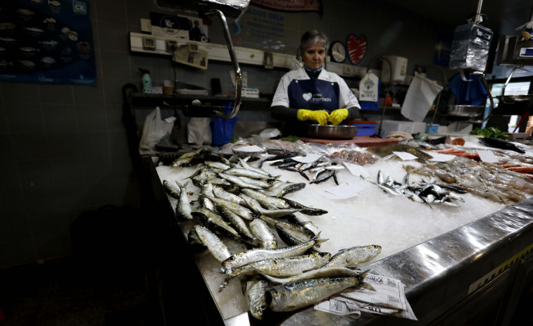 La sardina en A Coruña a nueve días de San Juan: escasa, pequeña y a cinco euros el kilo