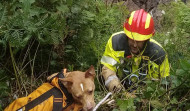 Emergencias de Oleiros rescata a una perra que cayó por un acantilado