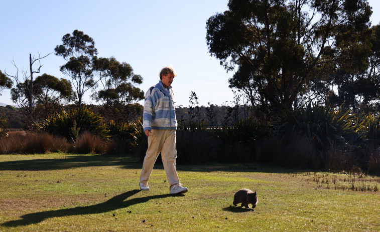 Paseante de wombats o guía paranormal, los empleos raros que ofrece Tasmania