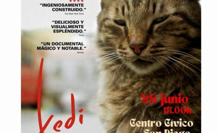 Gatocan organiza un coloquio de expertos sobre los gatos de la calle