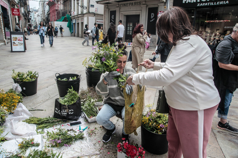 La tradición del ramo de San Juan echa raíces en A Coruña