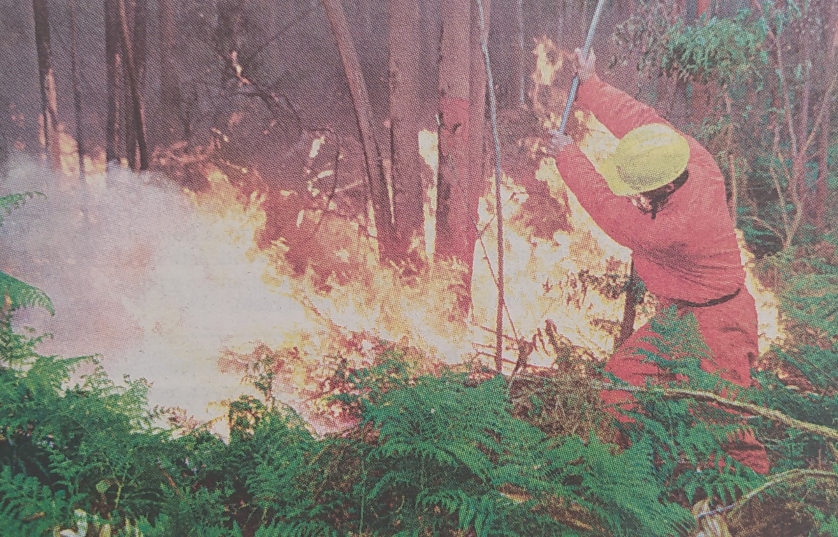 Incendio a zapateira 1999