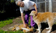 Beatriz Martín, presidenta de Gatocan: “Me gustaría pedir que dejemos de comprar animales por su raza o apariencia”