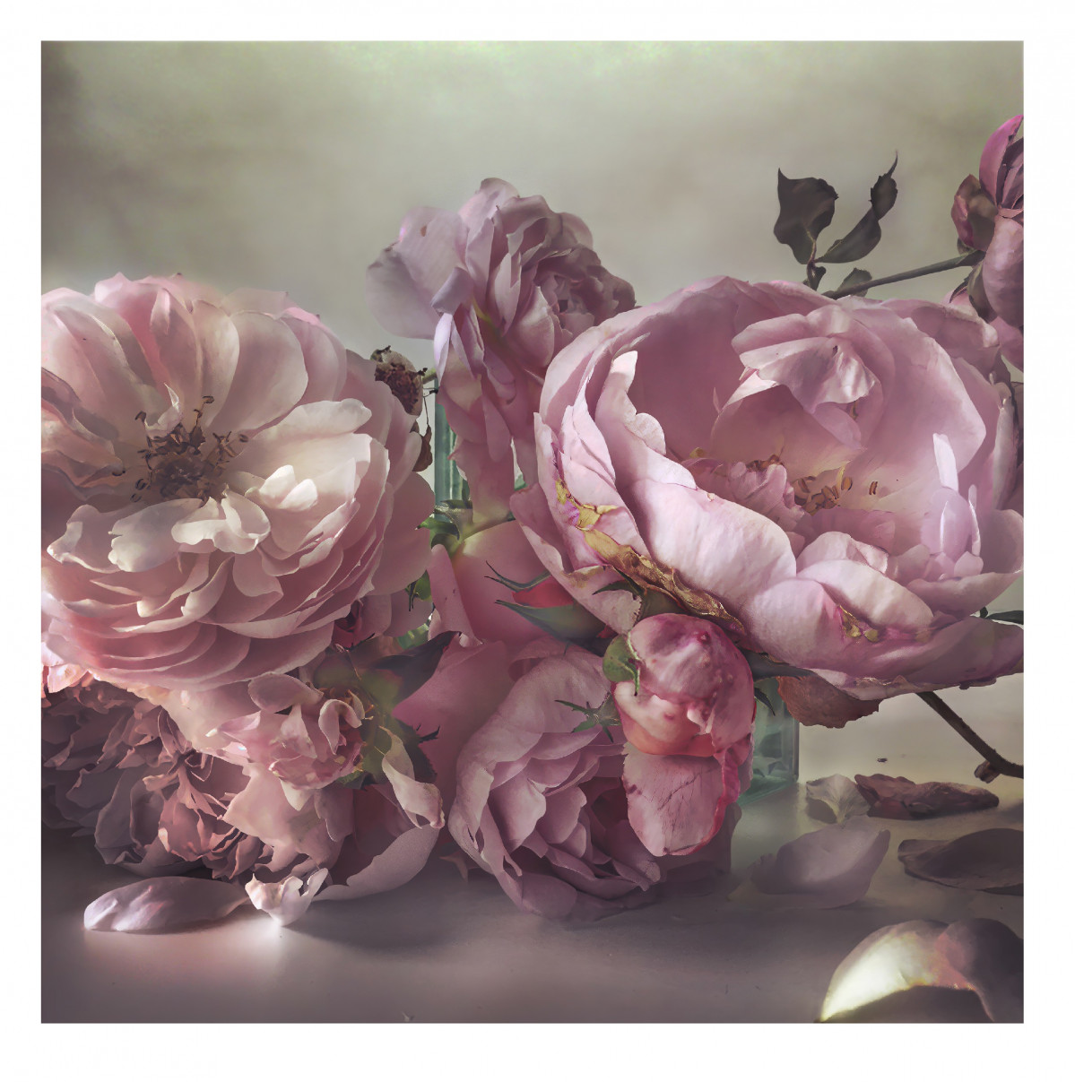 Nick Knight Sunday 11th October, 2015 u00a9 Nick Knight