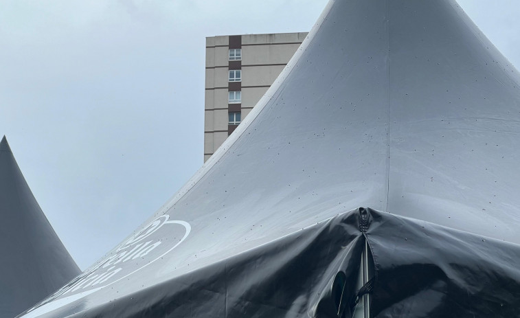 Una nube de hormigas voladoras aterriza en el Atlantic Pride de A Coruña