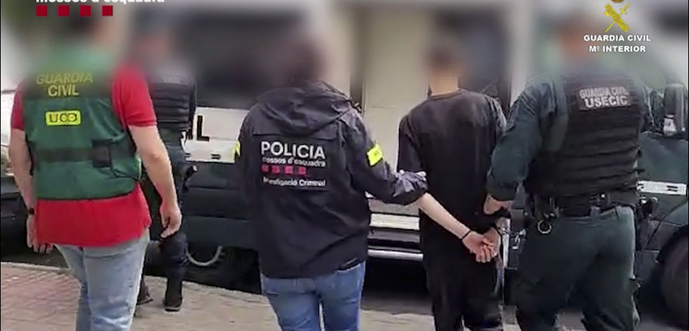 Detienen en Madrid a un hacker que robó datos de 37.000 clientes de una compañía eléctrica