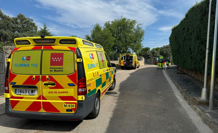 Herido grave tras ser mordido por una víbora en su casa en Madrid