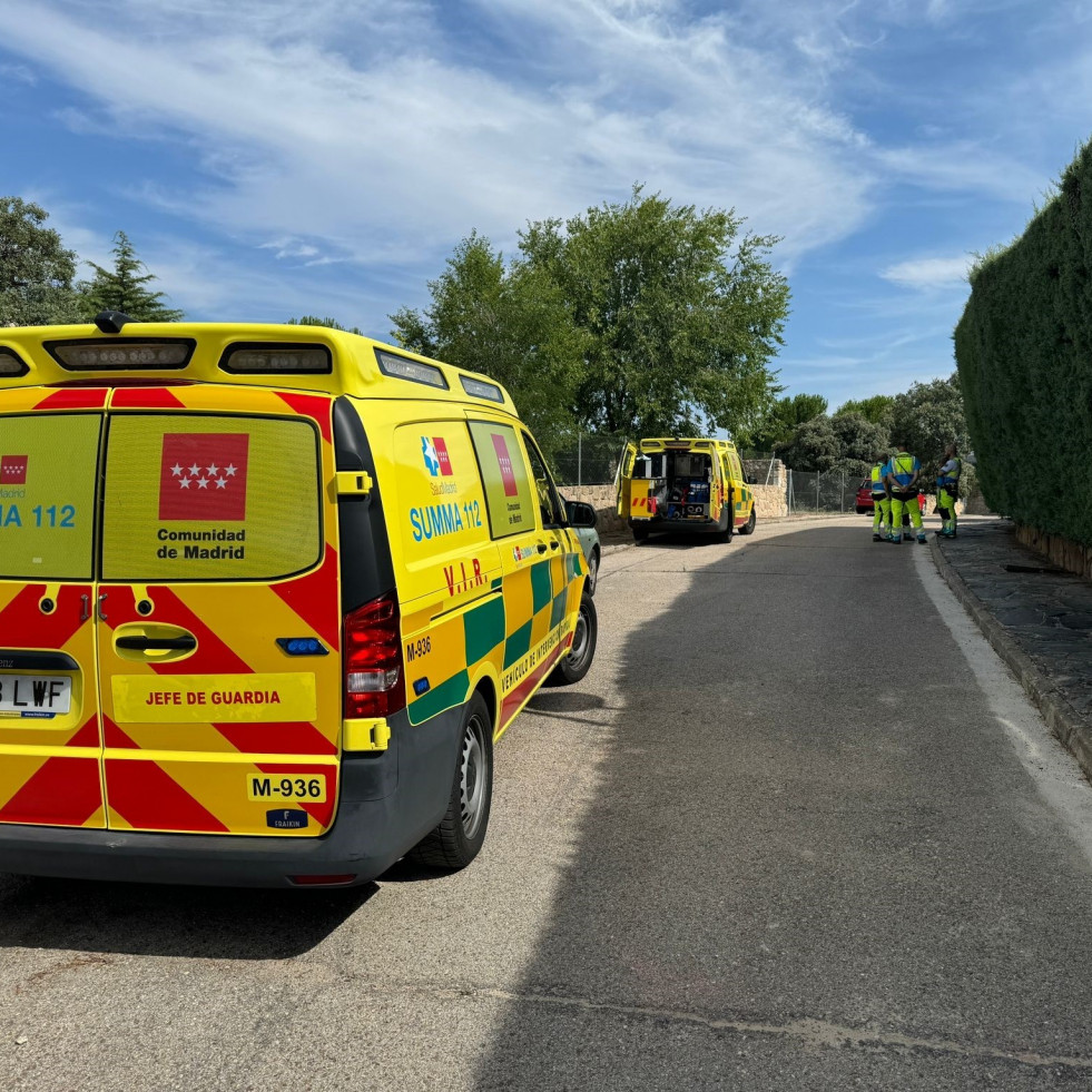 Herido grave tras ser mordido por una víbora en su casa en Madrid