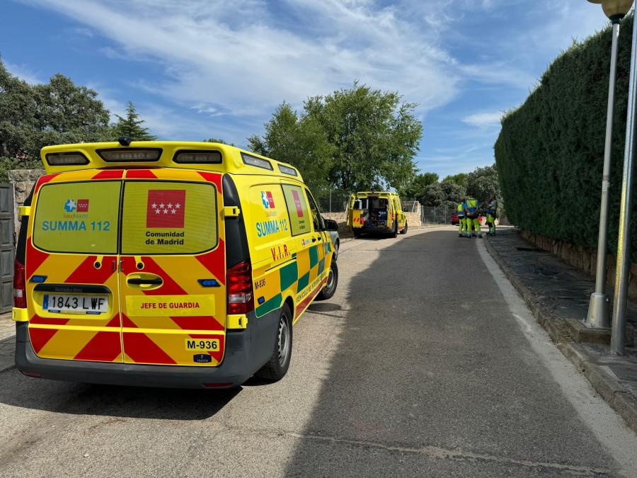 Herido grave tras ser mordido por una víbora en su casa en Madrid