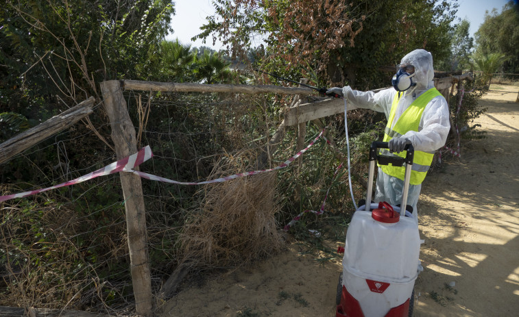 Muere la mujer de 86 años de La Puebla del Río contagiada de virus del Nilo