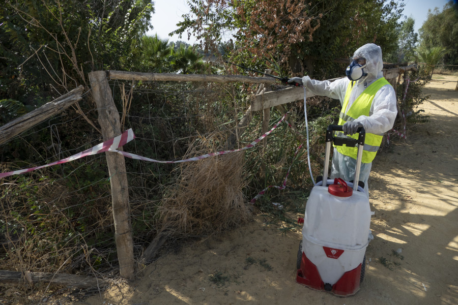 Muere la mujer de 86 años de La Puebla del Río contagiada de virus del Nilo