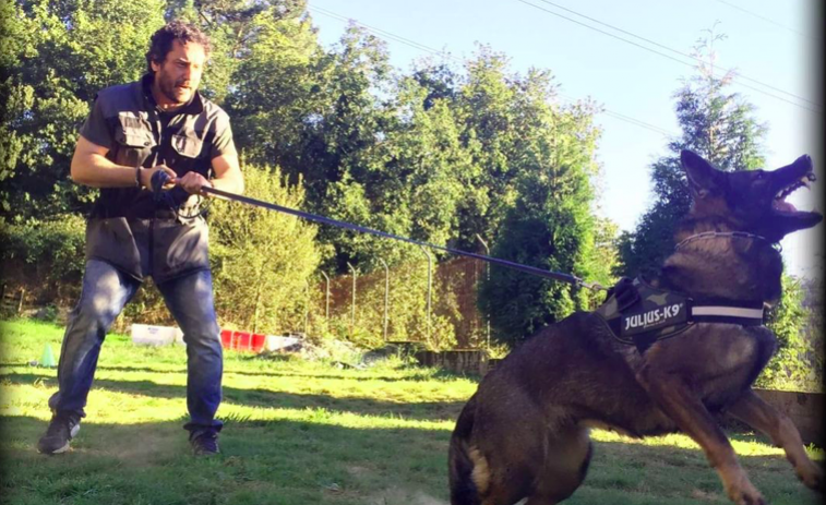 La Importancia del adiestramiento canino: entrena a tu mascota en Eloa K9