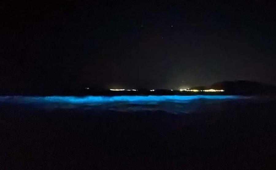 Mar de ardora o bioluminiscencia: ¿qué es y dónde ver el fenómeno natural más viral de este verano?