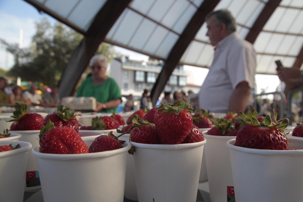 Festa da Fresa, la celebración gastronómicas de Eirís  (8)