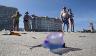 Aparecen más carabelas portuguesas en la playa de Riazor