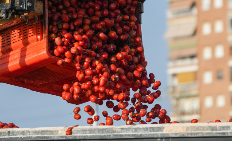 La Tomatina teñirá de rojo Buñol con una munición festiva de 120.000 kilos de tomate